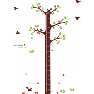Tree Growth Chart 
